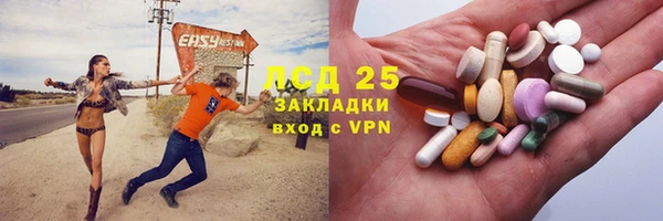 ГАЛЛЮЦИНОГЕННЫЕ ГРИБЫ Балахна