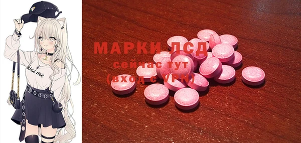 ГАЛЛЮЦИНОГЕННЫЕ ГРИБЫ Балахна