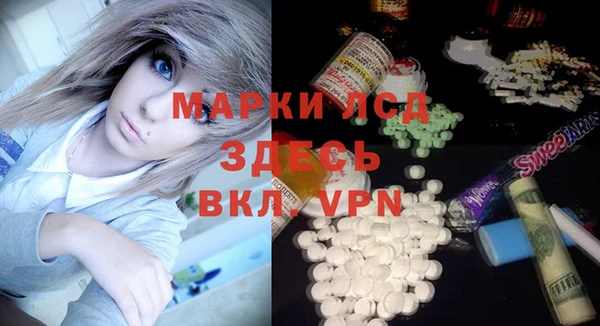 PSILOCYBIN Аркадак