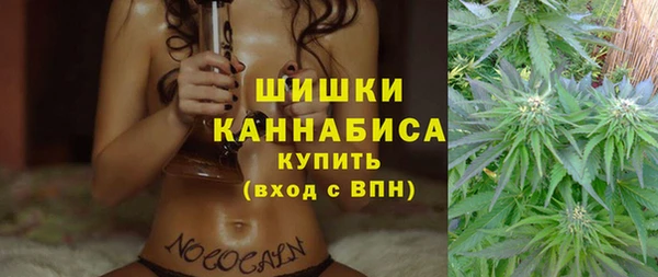 ГАЛЛЮЦИНОГЕННЫЕ ГРИБЫ Балахна