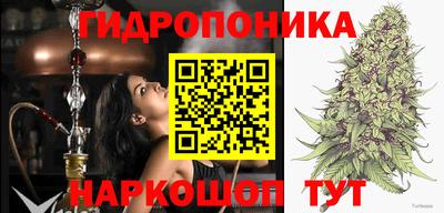 шишки Волгодонск