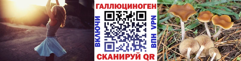 Псилоцибиновые грибы прущие грибы Горно-Алтайск