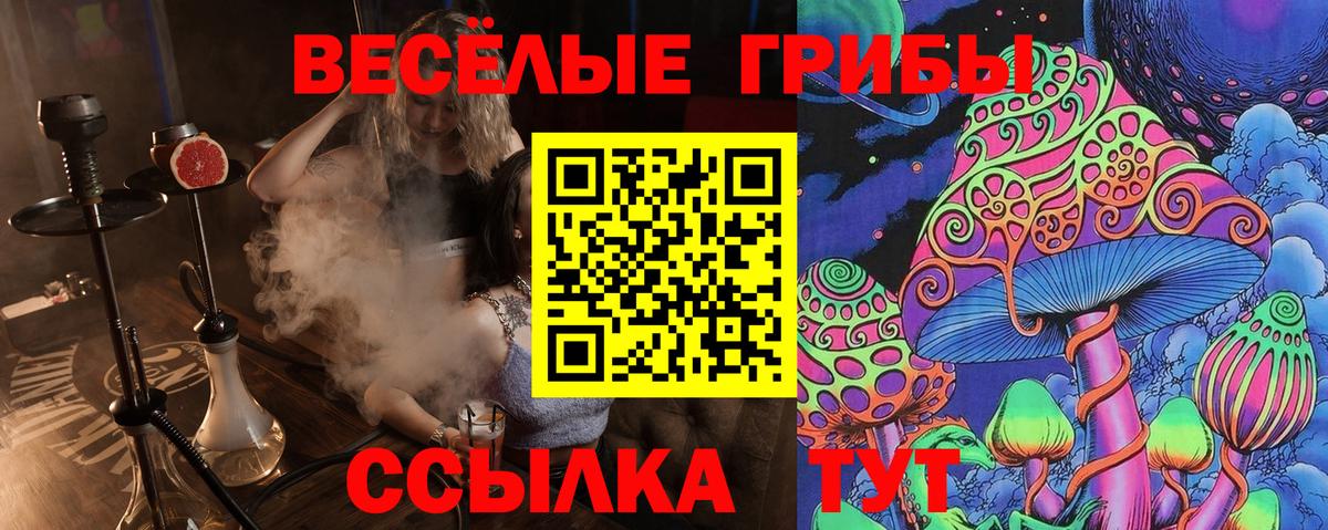 Галлюциногенные грибы мицелий  где купить наркоту  Горно-Алтайск 