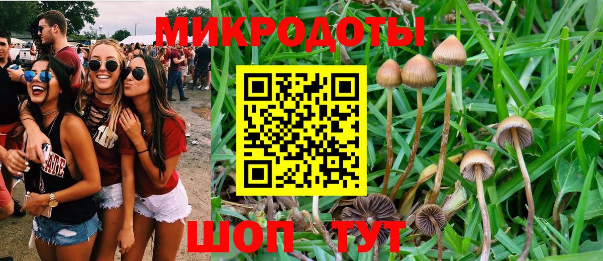 Псилоцибиновые грибы Magic Shrooms Горно-Алтайск