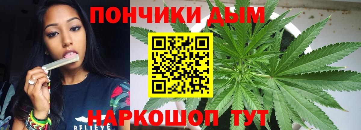 Каннабис сатива Горно-Алтайск